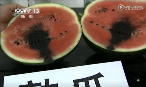 52吃瓜爆料免费吃瓜视频